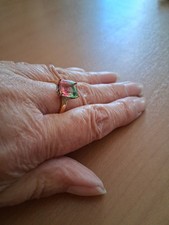 Ladies pink/green Ombre Vermei