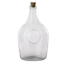 Clear Open Terrarium Bottle 5
