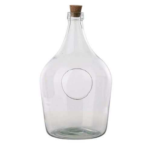 Clear open terrarium bottle - terrarium,