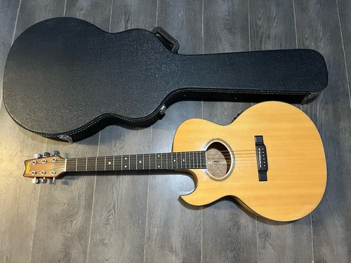 Washburn ea40 guitar left - ea40, guitar,