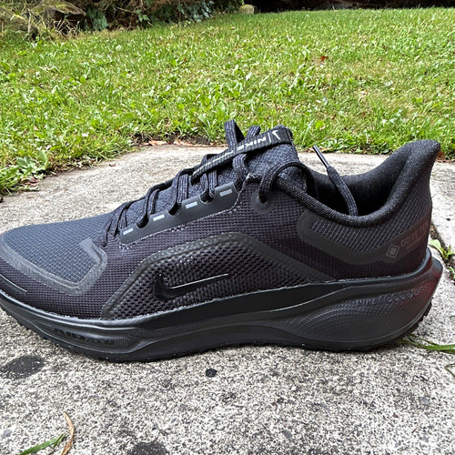 Nike air pegasus gtx - air,