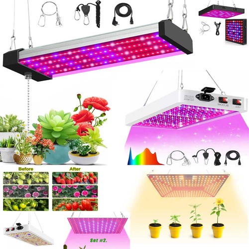 Full spectrum led plant - led, grow