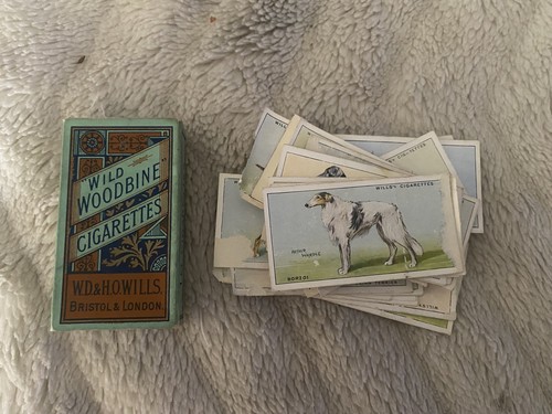Vintage wild woodbine - wild,