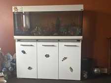 Aqua One 240 litre fish tank 