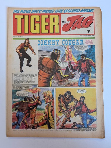 Tiger and jag - tiger, 29th