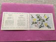C1930s ERA KENSITAS FLOWERS NARCISSUS-DAFFODIL LARGE SILK CIGARETTE CARD