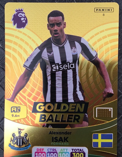 Panini adrenalin premier - xl,