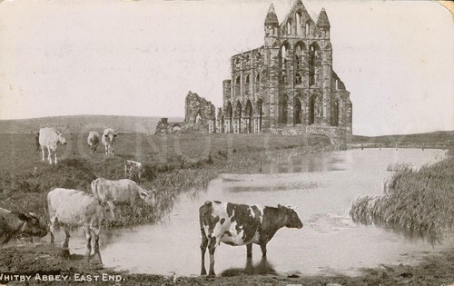 Whitby vintage postcard - vintage,