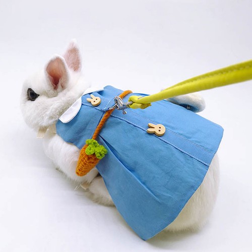 Set pet clothing suit - 1,