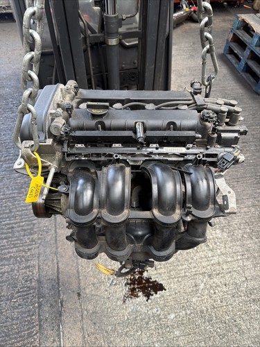 Ford focus petrol engine - 1.6,