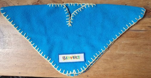 Beaver scouts poncho - scouts,