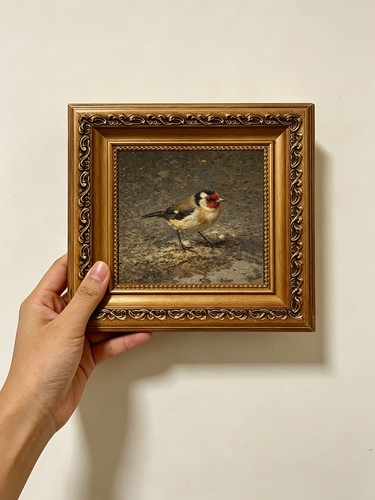Goldfinch bird oil - goldfinch,