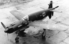 WW2 Picture Photo Dornier