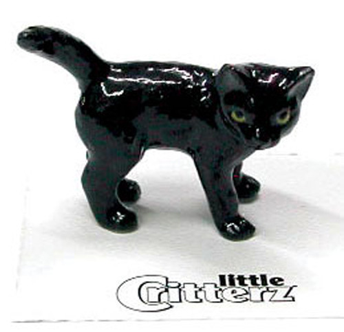 Little critterz cat - ➸,
