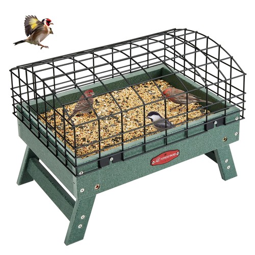 Squirrel proof caged platform - squirrel,