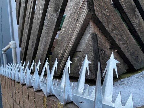 Razor point anti climb - razor, wall