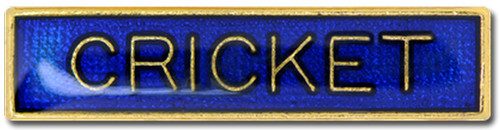 Cricket bar pin badge - badge, in