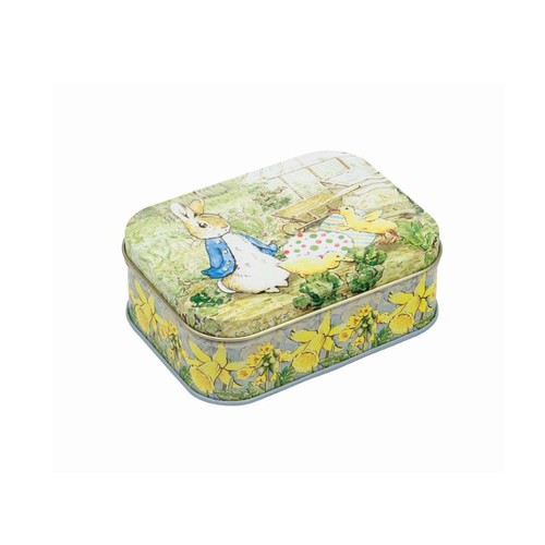 Peter rabbit easter - -,