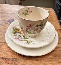 Kensington Ware Cup Saucer Plate Trio