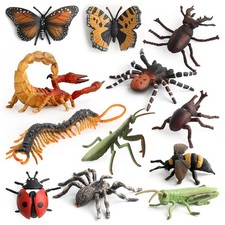 Spider Butterfly Insect Replicas With Pvc Material For Learning And Toy