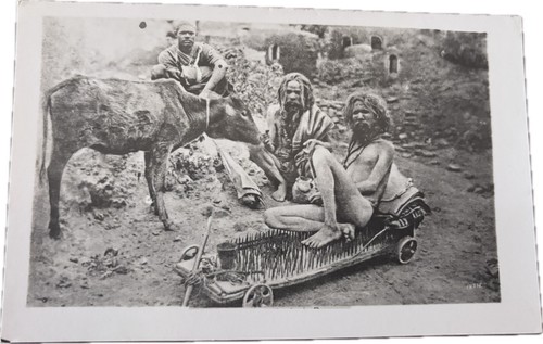 Vintage photos snake - vintage,