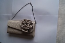 Coast clutch type handbag