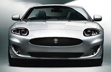 Jaguar Genuine C2P18025 Grille Mesh Replacement Fits XK 2006-2014 (From B00379)