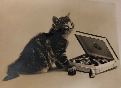 Antique french rppc real photo - antique,