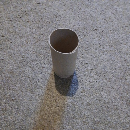 Empty toilet roll tubes - roll,