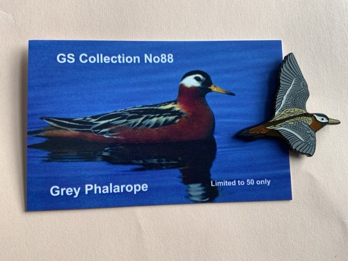 None rspb badges - rspb, gs
