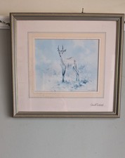Signed Print of An Antelope by