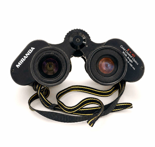 Miranda 8x40 gold coated - gold,