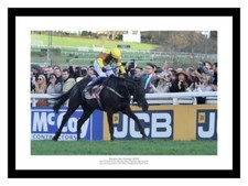 Galopin des champs 2023 - des,