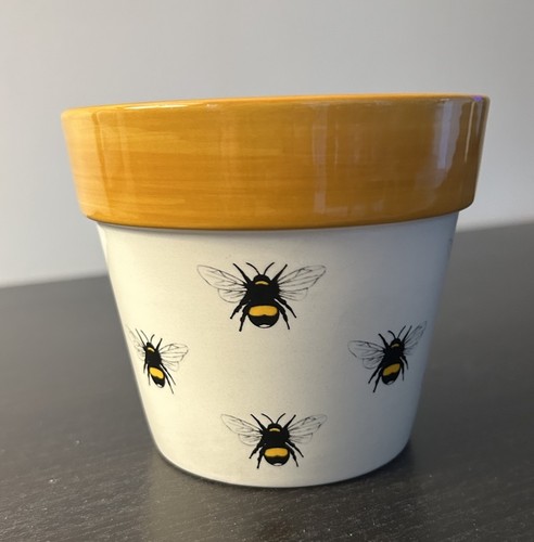 Ivyline bumble bee indoors - bumble,