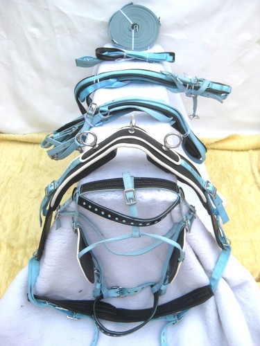 Single horse skyblue black - single,