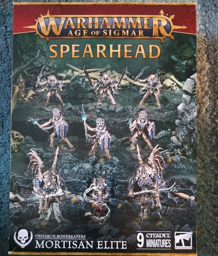 Spearhead ossiarch - spearhead, :