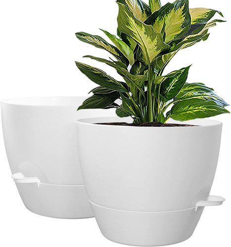 Inch self watering - 10,
