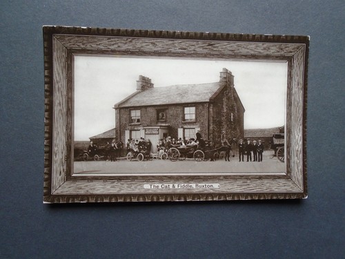 Derbyshire view of the cat - a,