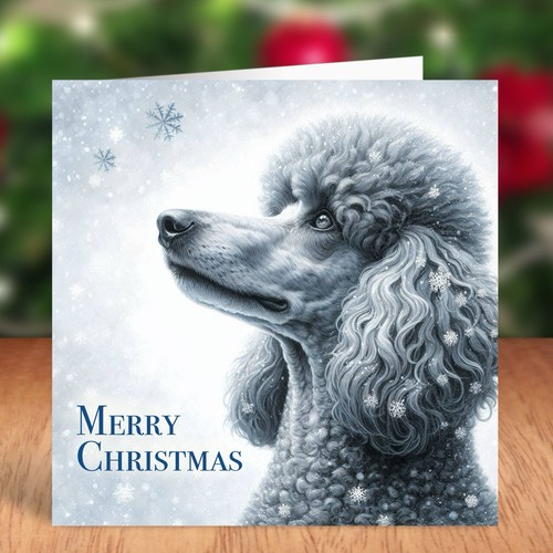 Standard poodle dog - dog, christmas