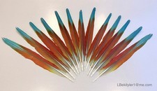 Parrot Macaw Feather Crafts