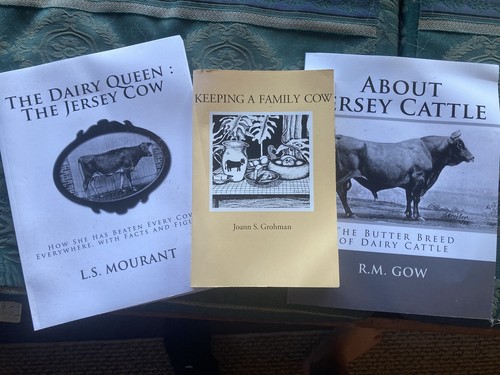 Keeping the family cow - keeping,