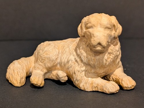 Golden retriever dog mini - golden,