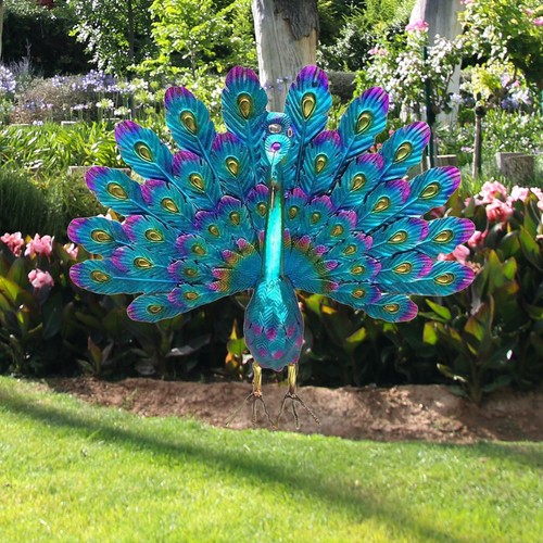 Realistic peacock outdoor - realistic,