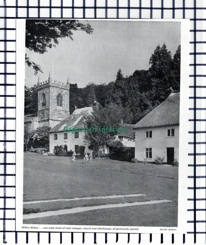 C5870 milton abbas dorset - milton,