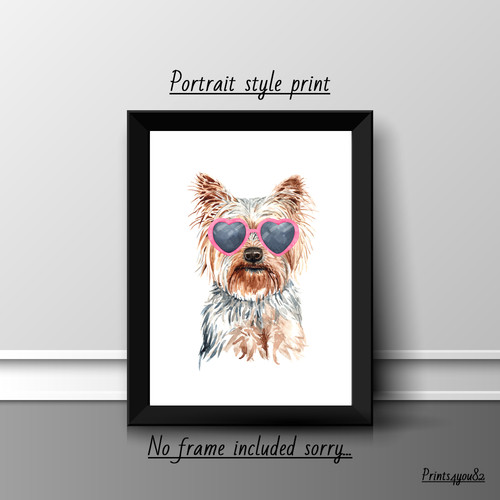 Yorkshire terrier picture - terrier,
