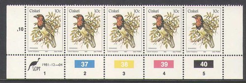 Ciskei 1981 birds 10c - 1981, birds/10c