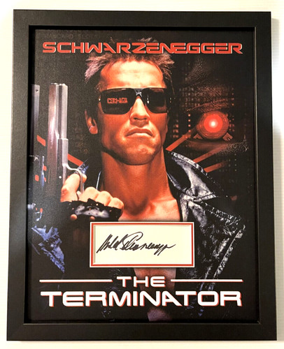 Framed arnold schwarzenegger - framed,