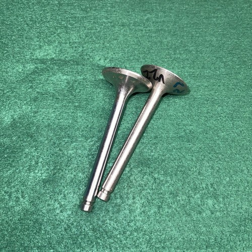 Bsa a65 exhaust valves v254 - bsa,