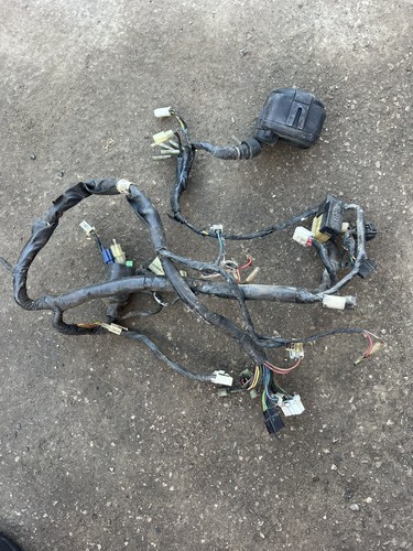 Yamaha fzr 600 - wiring, loom