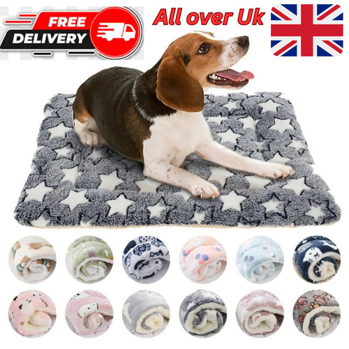 Warm pet blanket pad - blanket,